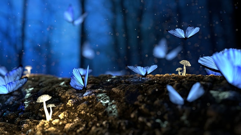 Enchanted Realms