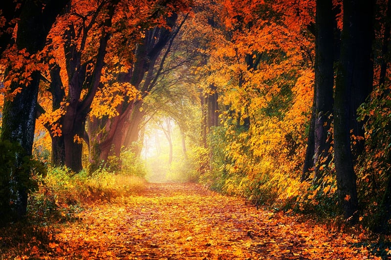 Enchanted Waterway Trail
