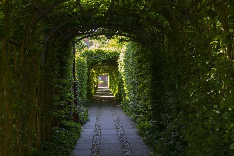 Secret Garden Passage