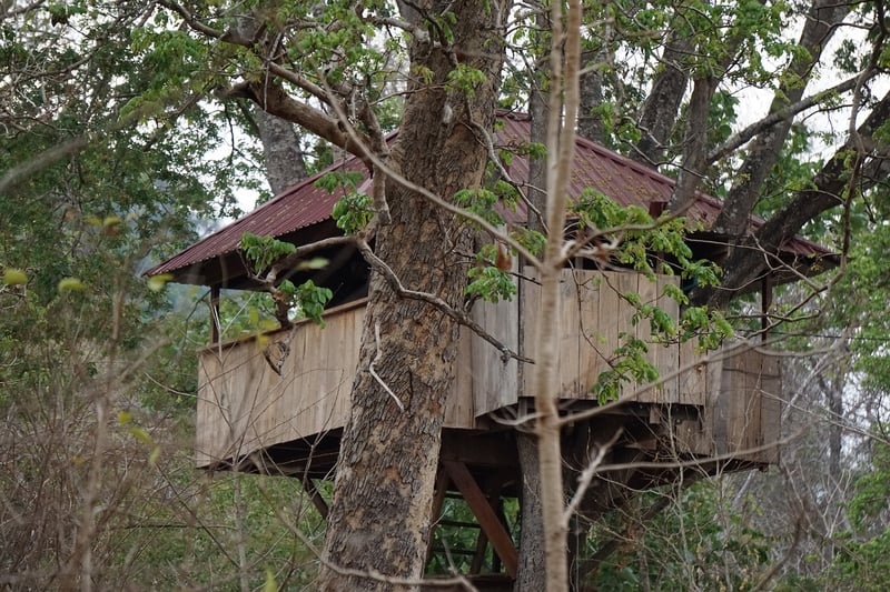 Cozy Tree House